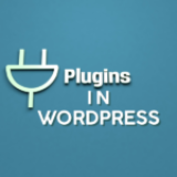 Best Plugins in WordPress For Beginners & Pros